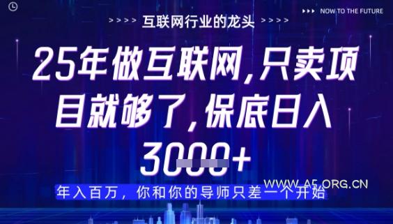 什么！25年你还在找项目做？风口早就变了，卖项目才是稳挣不赔【揭秘】-A5资源网