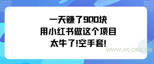一天挣了9张用小红书做这个项目太牛了，空手套-A5资源网