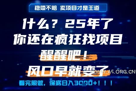 什么？25年你还在疯狂找项目做，醒醒吧，看完这些你全都懂了！【揭秘】-A5资源网