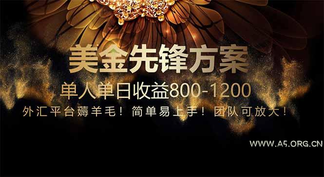 免费技术！小众赛道！一年布局抵三年努力，每日800+-A5资源网