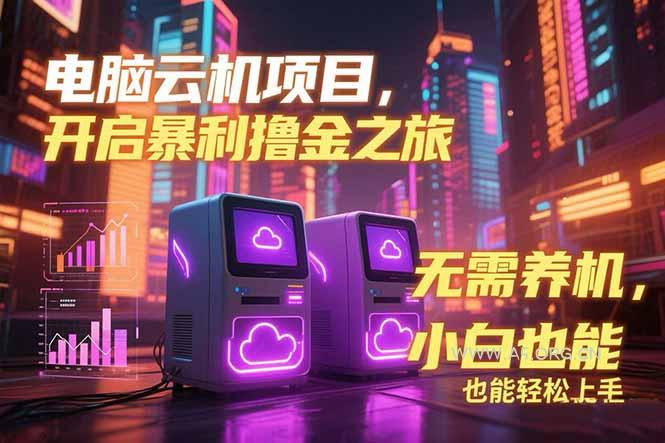 电脑云机项目 暴力撸金玩法，不需要养机 配置没有要求 单机100个窗口一...-A5资源网