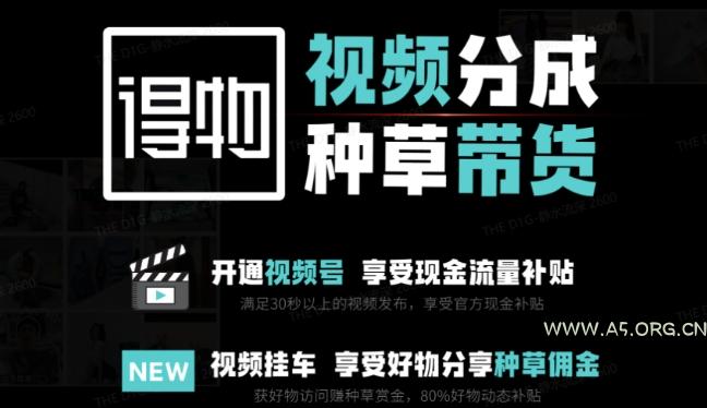 外面卖到1980的得物双通道玩法项目拆解，3-7天的一个起号周期，每月保底有3k – 5k【揭秘】-A5资源网