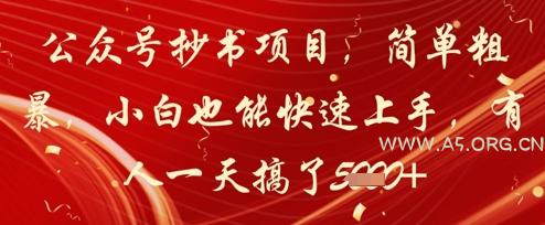 公众号抄书项目，简单粗暴，小白也能快速上手，有人一天搞了1k+-A5资源网