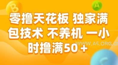 零撸天花板，独家满包技术，不用养机，一小时撸满50+，收益稳定【揭秘】-A5资源网