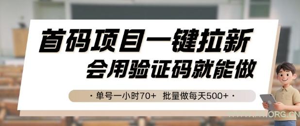 首码项目一键拉新，会用验证码就能做 单号一小时70+，批量做每天5张【揭秘】-A5资源网