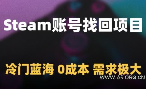 Steam账号找回项目，冷门蓝海，0成本，需求极大-A5资源网