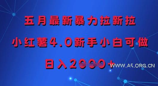 五月最新暴力拉新拉，小红薯4.0新手小白可做，日入多张-A5资源网