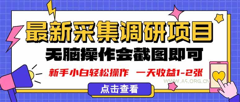 新版采集调研项目，截图上传即可，无脑操作，日收益1-2张-A5资源网