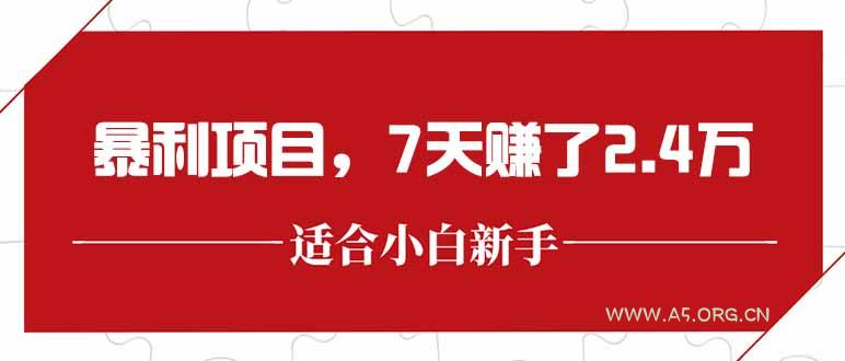 最新暴利项目，每单收益轻松在300以上，7天赚了2.4万-A5资源网