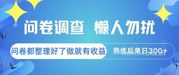 问卷调查，懒人勿扰，问卷都整理好了单价不等，做就有收益，熟练后单日3张【揭秘】-A5资源网