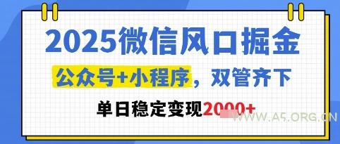 2025微信风口掘金，公众号+小程序双管齐下，单日稳定变现1k+【揭秘】-A5资源网
