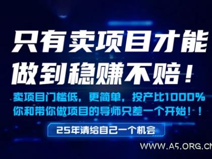 只有卖项目才能做到稳挣不赔，门槛低，更简单，你也可以年入百个W【揭秘】-A5资源网