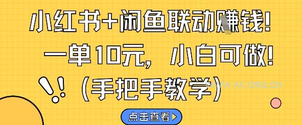 小红书+闲鱼联动挣钱，一单10元，小白可做-A5资源网