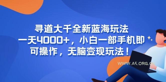 寻道大千全新蓝海玩法，一天4000+，小白一部手机即可操作，无脑变现玩法！-A5资源网