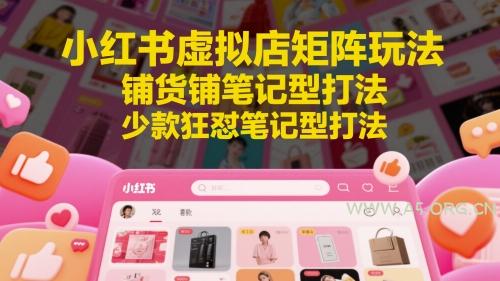 小红书虚拟店矩阵玩法，铺货铺笔记型打法，少款狂怼笔记型打法-A5资源网