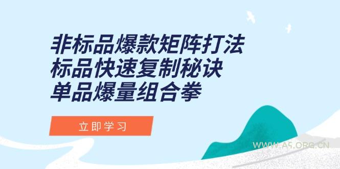 非标品爆款矩阵打法，标品快速复制秘诀，单品爆量组合拳-A5资源网