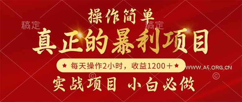 真正的暴利项目，操作简单，每天收益1200＋，自己做老板-A5资源网