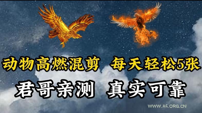 动物超燃混剪，每天轻松5张，剪辑简单大家爱看【揭秘】-A5资源网