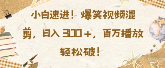 小白速进，爆笑视频混剪，日入3张，百万播放轻松破【揭秘】-A5资源网