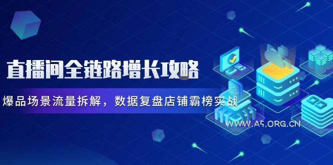 直播间全链路增长攻略，爆品场景流量拆解，数据复盘店铺霸榜实战-A5资源网