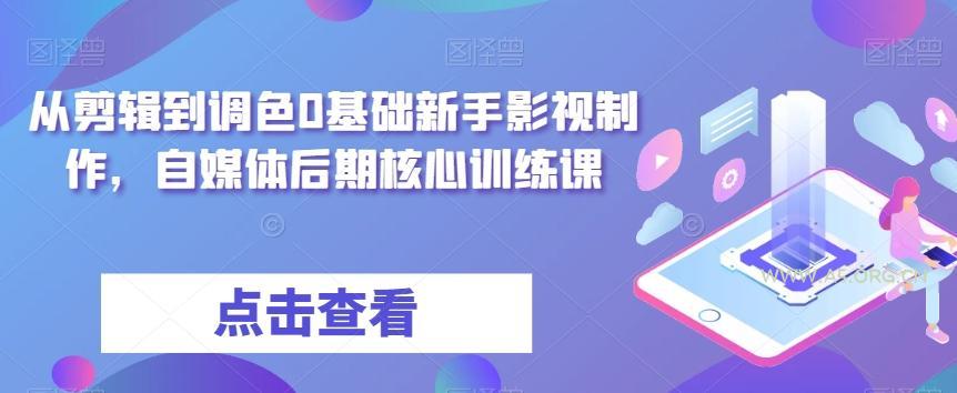 从剪辑到调色0基础新手影视制作，自媒体后期核心训练课-A5资源网