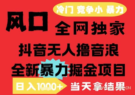 25年6月高爆抖音无人直播最新撸音浪掘金项目，解放双手小白可做，无脑日入1k+，门槛低【揭秘】-A5资源网