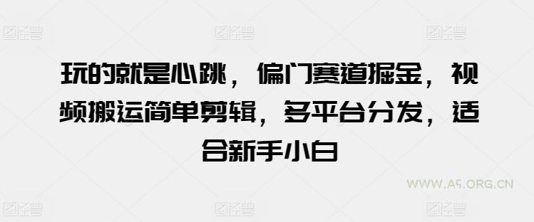 玩的就是心跳，偏门赛道掘金，视频搬运简单剪辑，多平台分发，适合新手小白【揭秘】-A5资源网