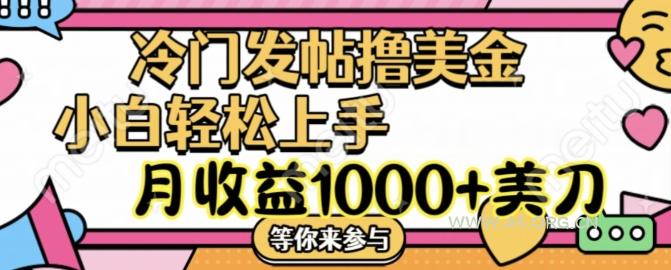 冷门发帖撸美金项目，月收益1000+美金，简单无脑，干就完了【揭秘】-A5资源网