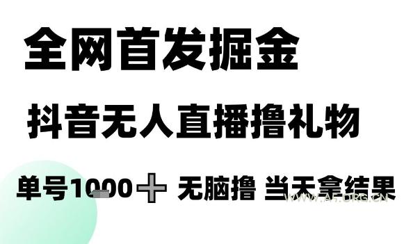 全网首发掘金抖音无人直播撸礼物，单号1k +无脑撸，当天拿结果【揭秘】-A5资源网