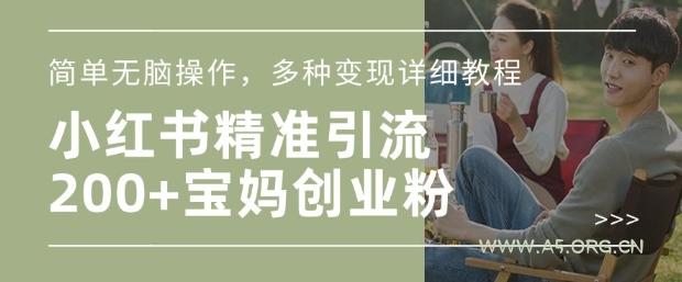 小红书混剪日引200+宝妈创业粉，简单无脑操作，多种变现详细教程-A5资源网