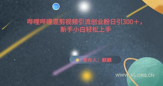 哔哩哔哩混剪视频引流创业粉日引300+，新手小白轻松上手【揭秘】-A5资源网