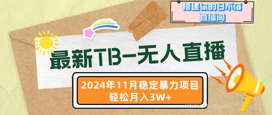 最新TB-无人直播 11月最新，打造你的日不落直播间，轻松月入3W+-A5资源网