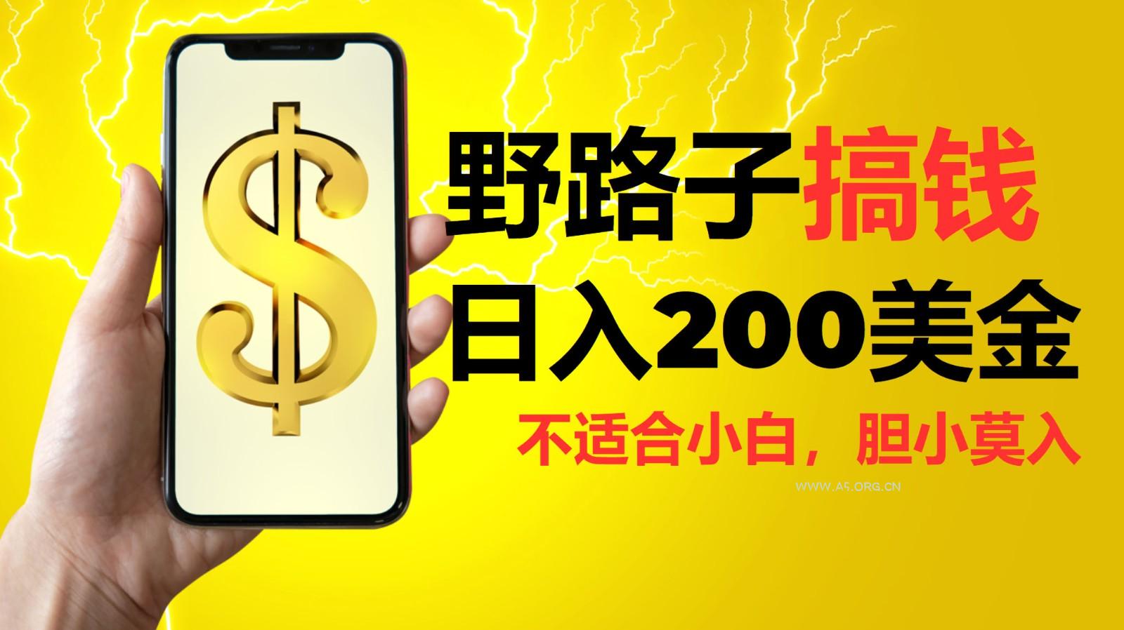 挂机野路子搞钱，日入200美金，路子很野，小白莫入-A5资源网