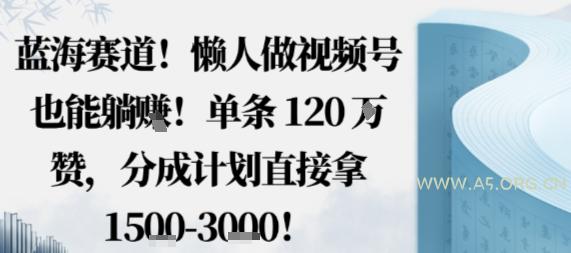 蓝海赛道，懒人做视频号也能躺挣，单条120W赞，分成计划直接拿1.5k，不用拍不用剪-A5资源网