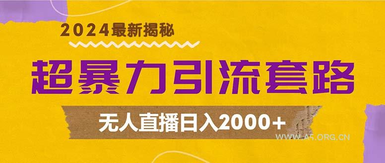 超暴力引流套路，无人直播日入2000+-A5资源网