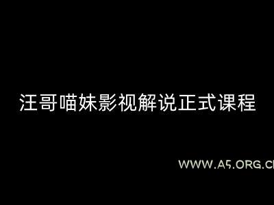 汪哥影视解说正式课程：剪映/PR教学/视解说剪辑5大黄金法则/全流程剪辑7把利器等等-A5资源网