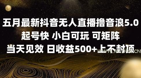 2025五月最新无人直播撸音浪单日产出5张+实操教程【揭秘】-A5资源网