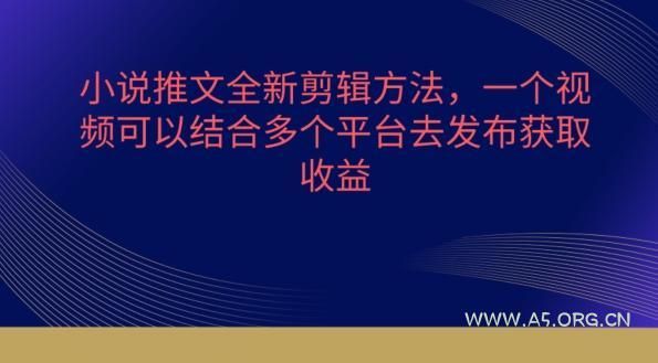 小说推文全新剪辑方法，一个视频可以结合多个平台去发布获取【揭秘】-A5资源网