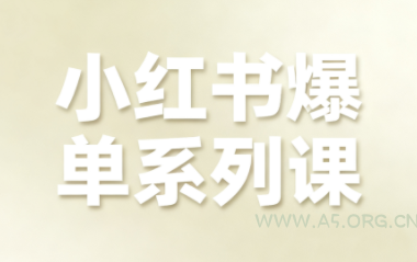 尼采老师·小红书爆单系列课-A5资源网