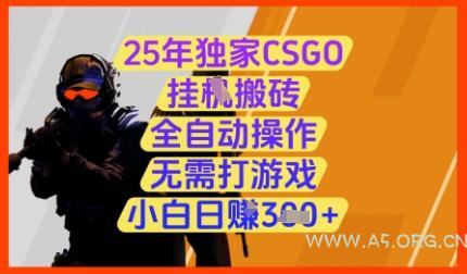 25年独家CSGO挂G搬砖，全自动操作，无需打游戏，小白日入3张+【揭秘】-A5资源网