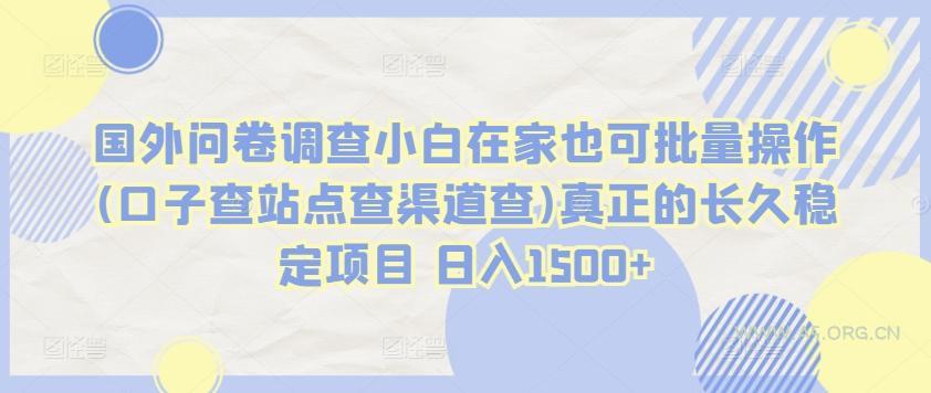 国外问卷调查小白在家也可批量操作(口子查站点查渠道查)真正的长久稳定项目 日入1500+【揭秘】-A5资源网