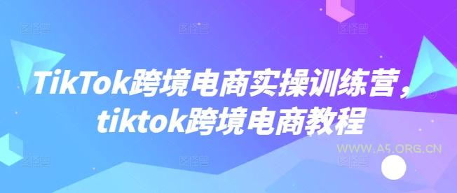TikTok跨境电商实操训练营，tiktok跨境电商教程-A5资源网