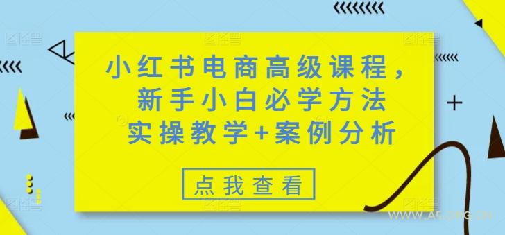 小红书电商高级课程，新手小白必学方法，实操教学+案例分析-A5资源网