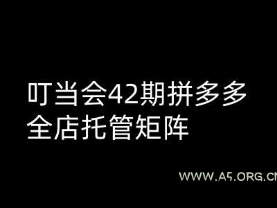 叮当会拼多多打爆班原创高阶技术第42期，拼多多全店托管矩阵-A5资源网