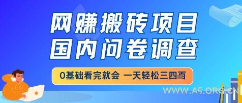 网创搬砖项目，国内问卷调查，小白轻松上手，一天三四张的也不难，干就完了【揭秘】-A5资源网