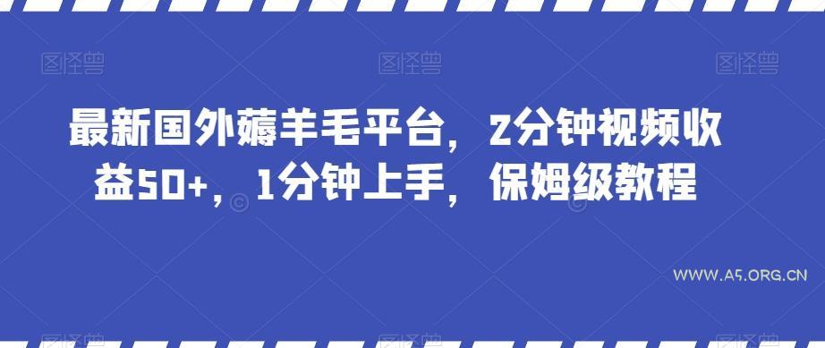 最新国外薅羊毛平台，2分钟视频收益50+，1分钟上手，保姆级教程【揭秘】-A5资源网