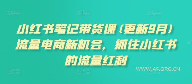 小红书笔记带货课(更新25年2月)流量电商新机会，抓住小红书的流量红利-A5资源网