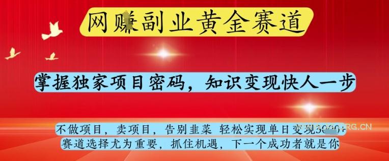 网创副业黄全赛道，掌握独家项目密码，知识变现快人一步，告别韭菜轻松实现单日变现1k+【揭秘】-A5资源网