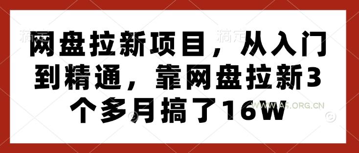 网盘拉新项目，从入门到精通，靠网盘拉新3个多月搞了16W-A5资源网