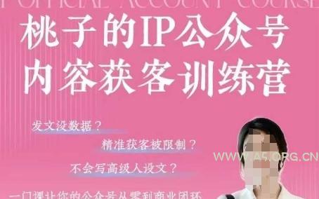 桃子IP公众号内容获客训练营(第3期)，一门让你公众号从0到商业闭环的课程-A5资源网